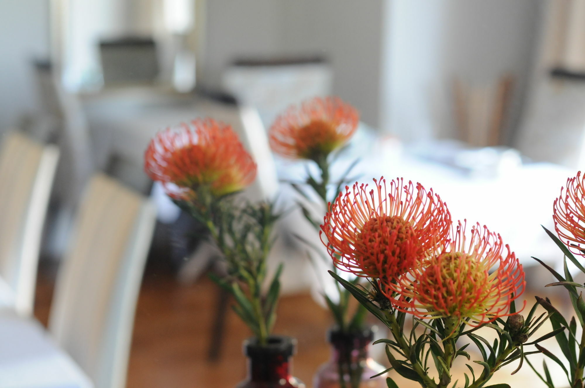 Abbey Manor Luxury Guesthouse Cape Town Ngoại thất bức ảnh